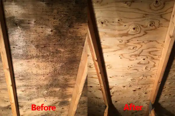 water damage restoration service Auxier
